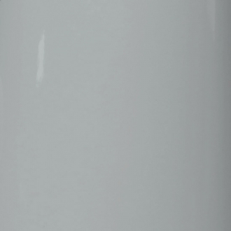 RAL 7004